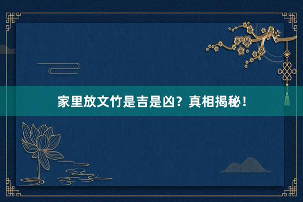 家里放文竹是吉是凶？真相揭秘！